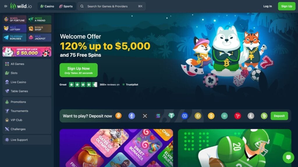 Wild.io user interface