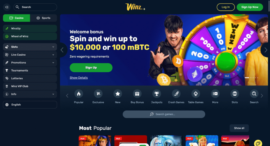 Winz.io User Interface